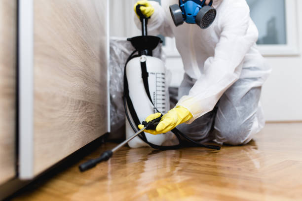 Best Pest Control Near Me in Edina, MO