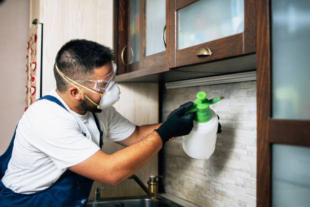 Best Residential Pest Control  in Edina, MO