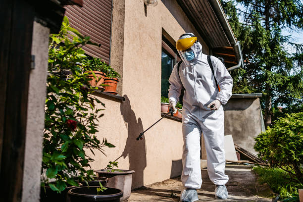Best Pest Control for Restaurants  in Edina, MO